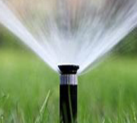 Underground lawn sprinkler installation in Vaughan